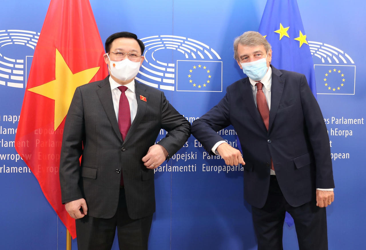 Nghị viện châu Âu muốn tăng cường hợp tác mọi mặt với Việt Nam