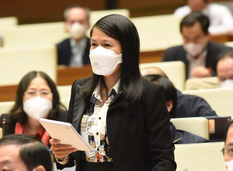 Bộ trưởng KH&ĐT thừa nhận "chưa nắm được" thực tế tình trạng "núp bóng" người Việt đầu tư bất động sản