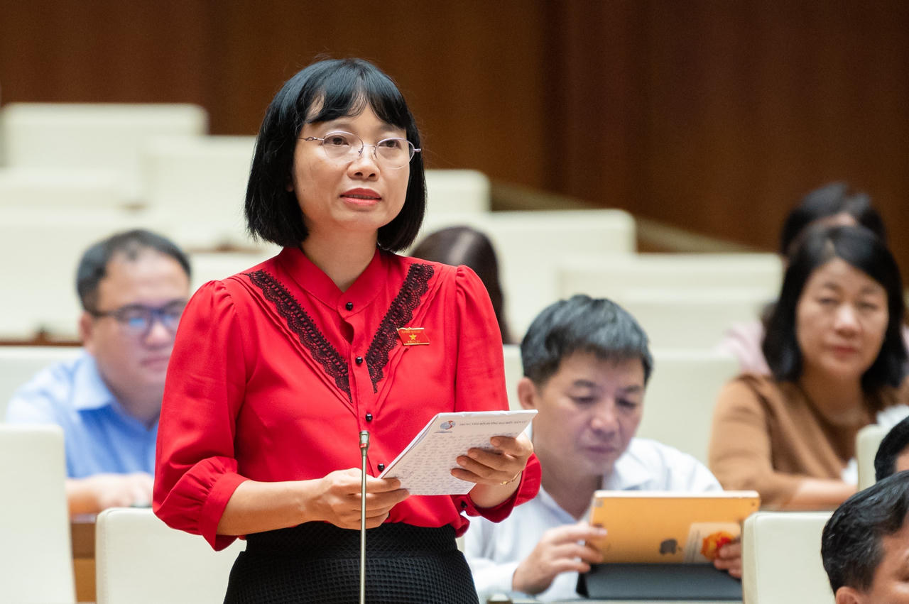 Đề xuất cấp căn cước cho cả người gốc Việt Nam