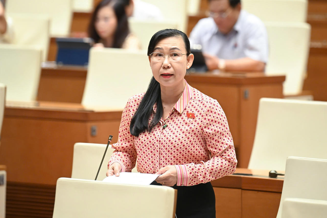 Đại biểu Quốc hội đề xuất giải pháp xử lý tang vật vi phạm hành chính