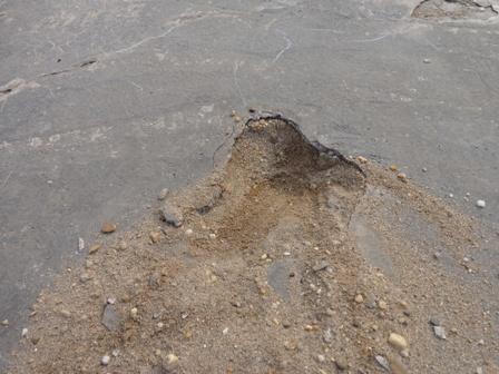 Nghi vấn rút ruột công trình ở trường mầm non Thụy Phương: Ai làm sai?