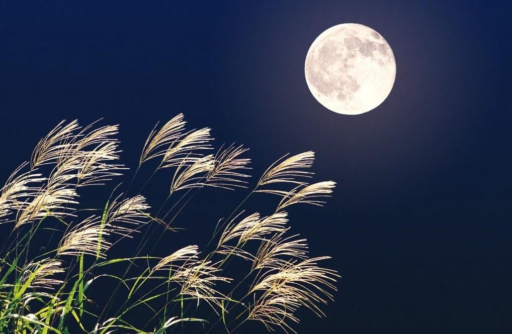 Mùa Vu lan, xin mỗi người phát nguyện một điều lành cho những cuộc đời đã dừng lại vì bệnh tật