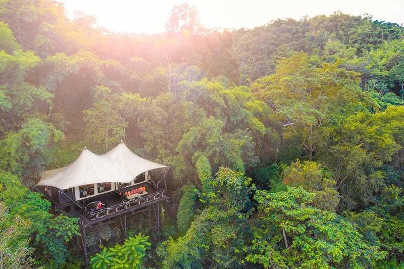 Mora Group và kỳ vọng về một khu nghỉ dưỡng “trong rừng” đẳng cấp ở Hòa Bình