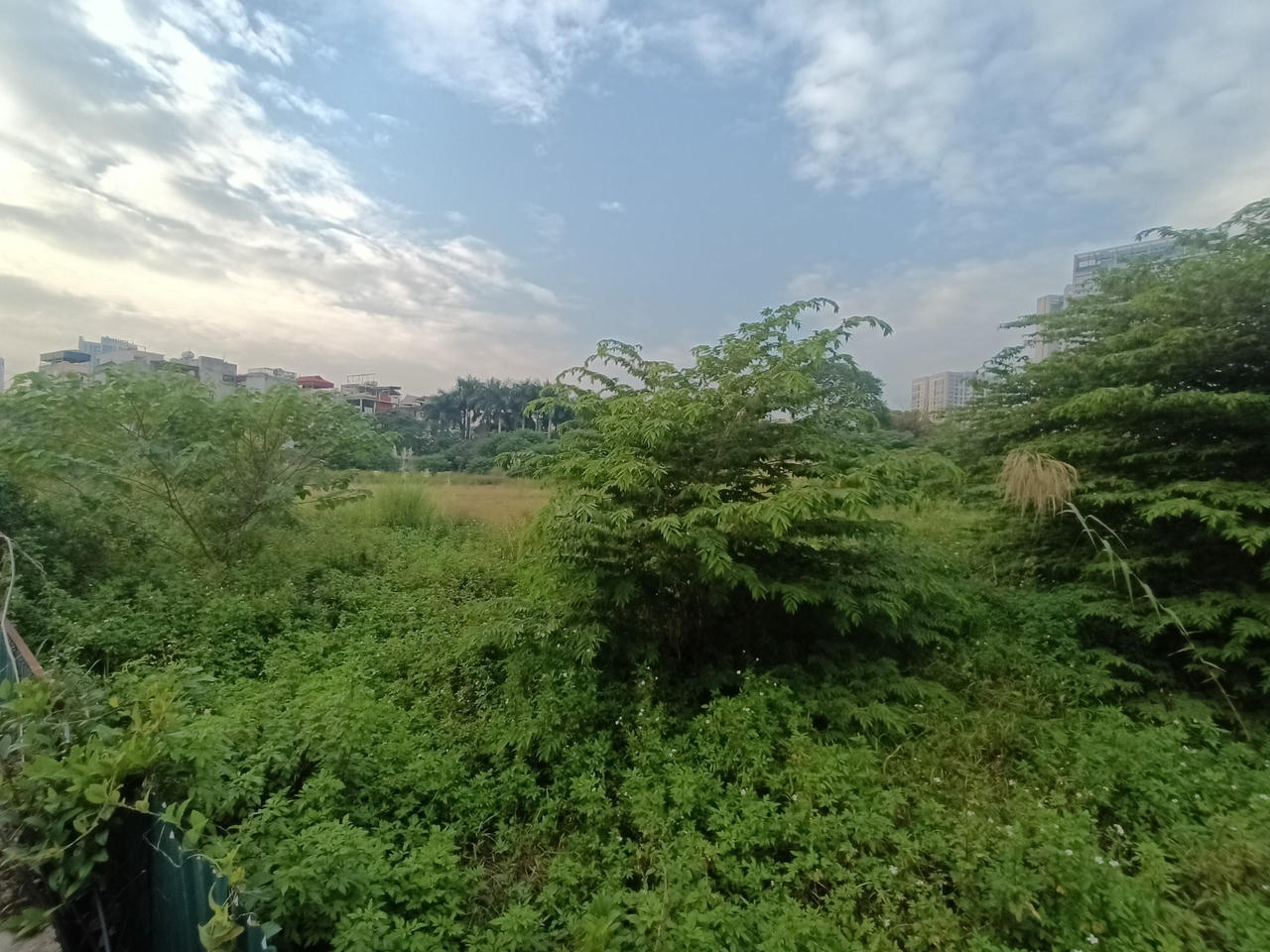 Điều chỉnh quy hoạch, chuyển mục đích sử dụng đất trên địa bàn Hà Nội – pháp lý đặt ra (kỳ 1)