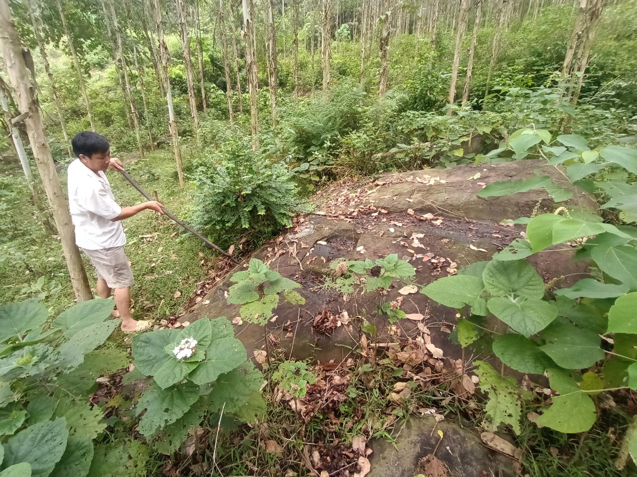 Dấu tích chùa cổ trên núi Thét 