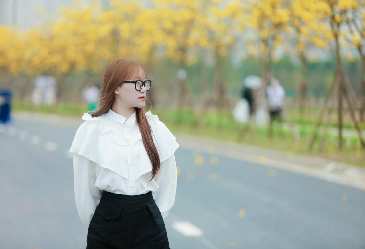 Hoa phong linh “nhuộm vàng” một góc phố Hà Nội