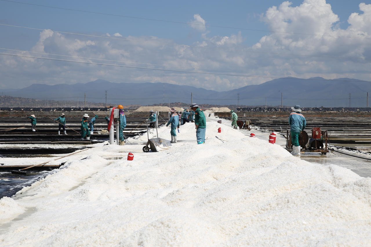 Trăm năm và hành trình nâng cao giá trị hạt muối Ninh Thuận