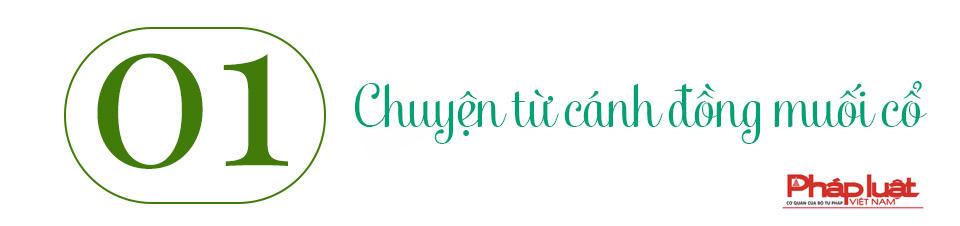 Trăm năm và hành trình nâng cao giá trị hạt muối Ninh Thuận
