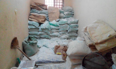 Đột kích cơ sở sản xuất thuốc thú y chứa chất cấm