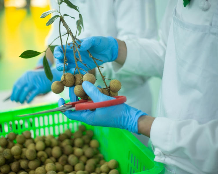  7 bước lên máy bay của nhãn lồng Hưng Yên