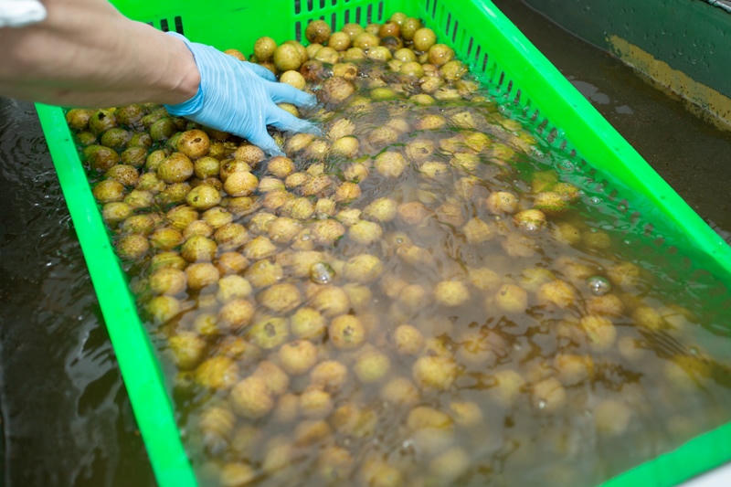  7 bước lên máy bay của nhãn lồng Hưng Yên