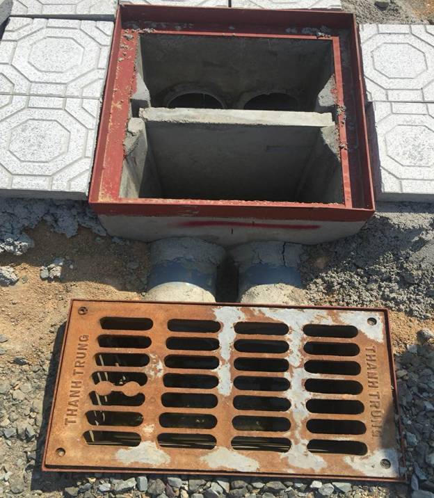 Busadco trong cuộc chiến bảo hộ sở hữu trí tuệ…