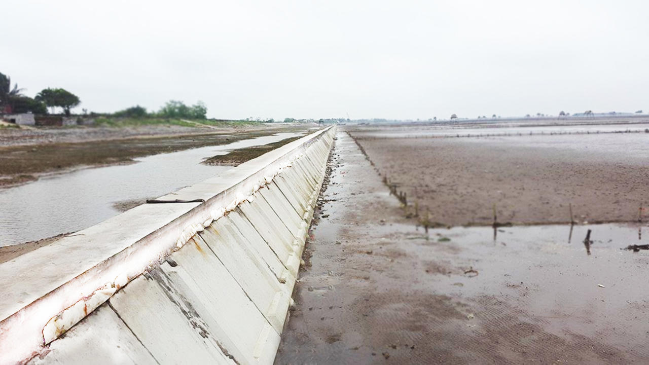 Busadco – Hành trình chắp cánh công nghệ Việt