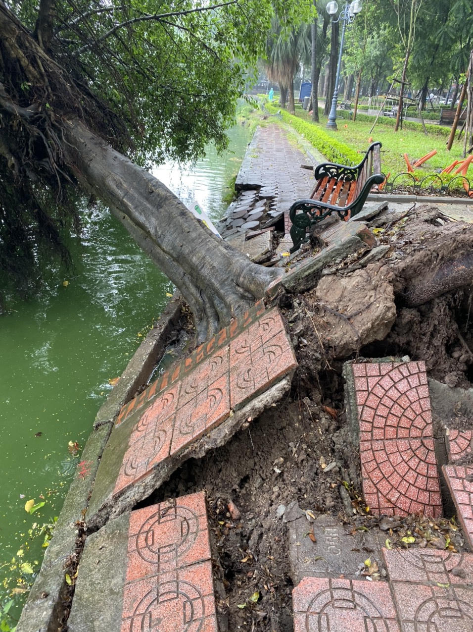 Cây xanh ven hồ Hoàn Kiếm bật gốc: Đừng để mất bò mới lo làm chuồng