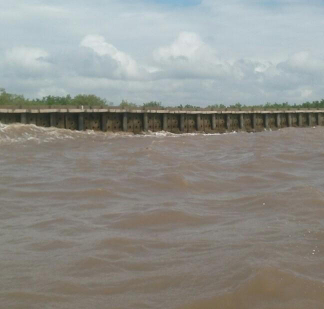 Xuất hiện loại kè đã có thể “chế ngự” sóng biển đông Cà Mau