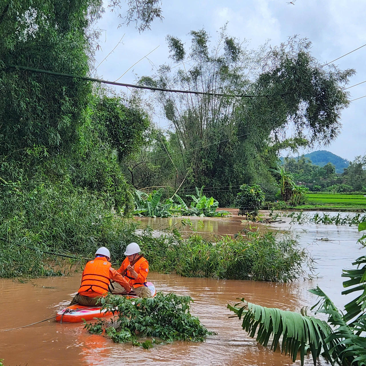 Ngành điện tập trung cấp điện trở lại cho khách hàng sau cơn bão số 3