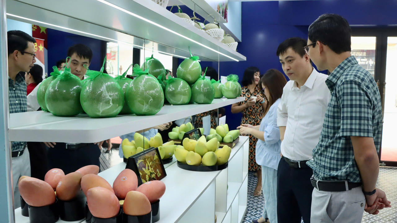 Quảng bá 'Tinh hoa trái cây Việt'