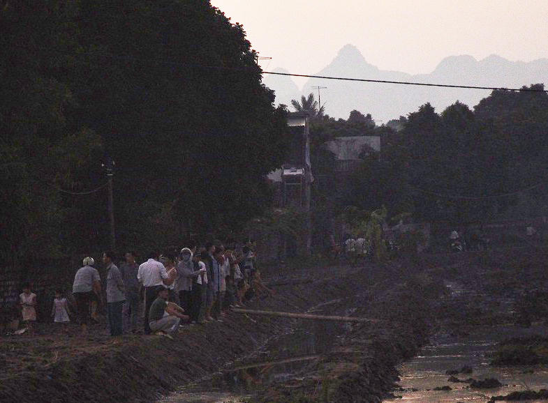 Dây điện đứt làm chết cả người lẫn bò 