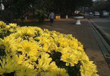 Không khí đón năm mới 2014 tại Thủ đô Hà Nội