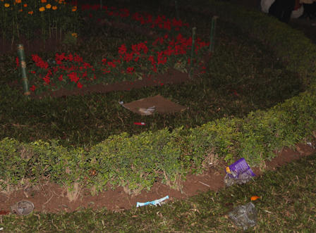 Nỗ lực làm việc ngay giờ đầu năm mới