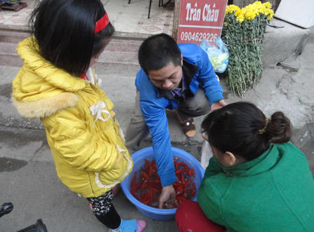 Cá cúng ông Táo “tồn” nhiều, nhiều người “săn” chép đắt tiền