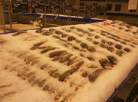 Cá chết trắng, thuỷ sản hôi thối đầy rẫy trong siêu thị Metro