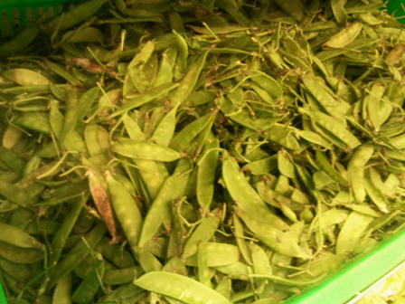 Cá chết trắng, thuỷ sản hôi thối đầy rẫy trong siêu thị Metro