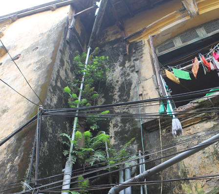 Khổ như người dân Hà Nội sống trong biệt thự