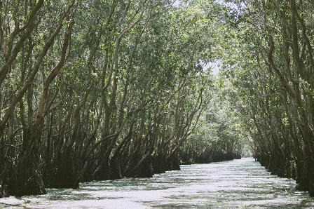 An Giang điểm đến của những người mê phượt