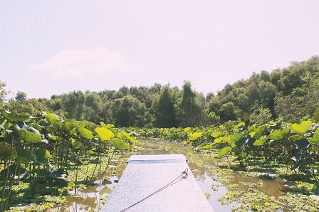 An Giang điểm đến của những người mê phượt