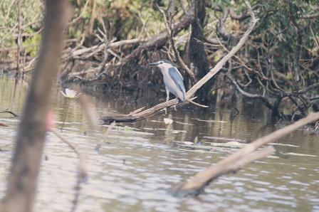 An Giang điểm đến của những người mê phượt
