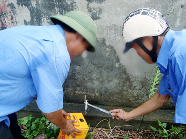 “Cuộc đời tôi là một lần dại dột”
