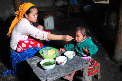 Viettel trao tặng bò giống giúp đồng bào nghèo khu vực biên giới