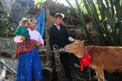 Viettel trao tặng bò giống giúp đồng bào nghèo khu vực biên giới