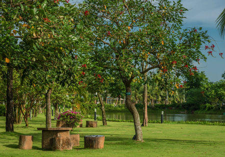 Thưởng ngoạn “Khu vườn mùa Thu” tại Vinhomes Riverside