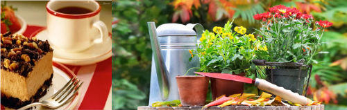 Thưởng ngoạn “Khu vườn mùa Thu” tại Vinhomes Riverside