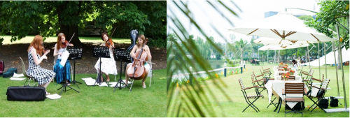 Thưởng ngoạn “Khu vườn mùa Thu” tại Vinhomes Riverside