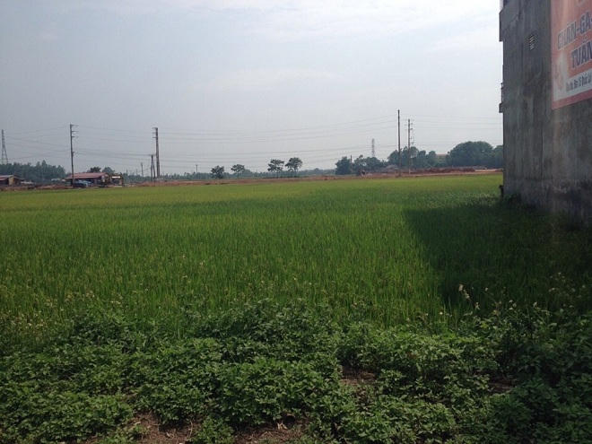  Đời cha đã mất ruộng, đời con còn bị kiện ngược?