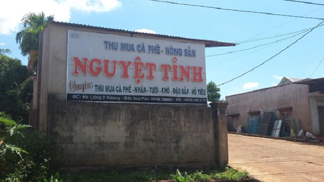 “Cơn bão” ký gửi cà phê hoành hành Tây Nguyên