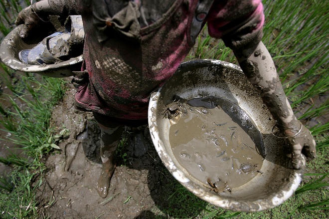  Về Lũng Vân ngày hè, xem trẻ em Mường săn cá 