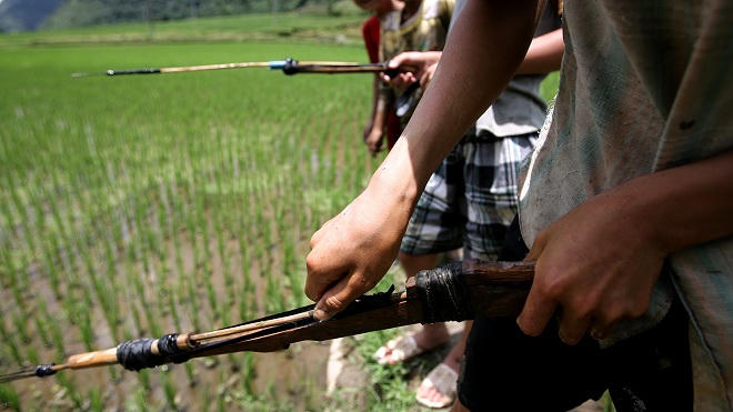  Về Lũng Vân ngày hè, xem trẻ em Mường săn cá 