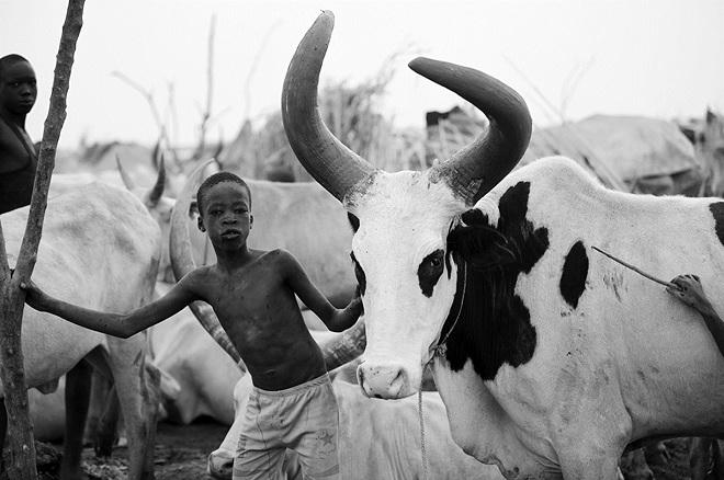 Chuyện kỳ lạ ở bộ tộc đầm lầy