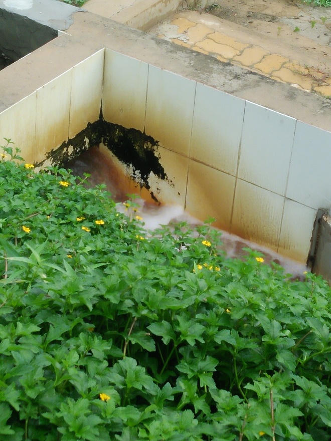 2 năm miệt mài thu thập chứng cứ tố cáo KCN gây ô nhiễm