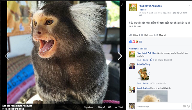 HĐXX lên facebook tìm chứng cứ buộc tội bị cáo