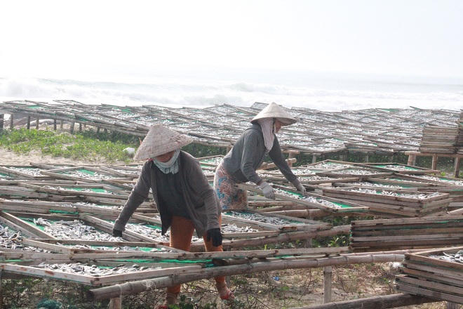 Nhọc nhằn phơi cá mướn