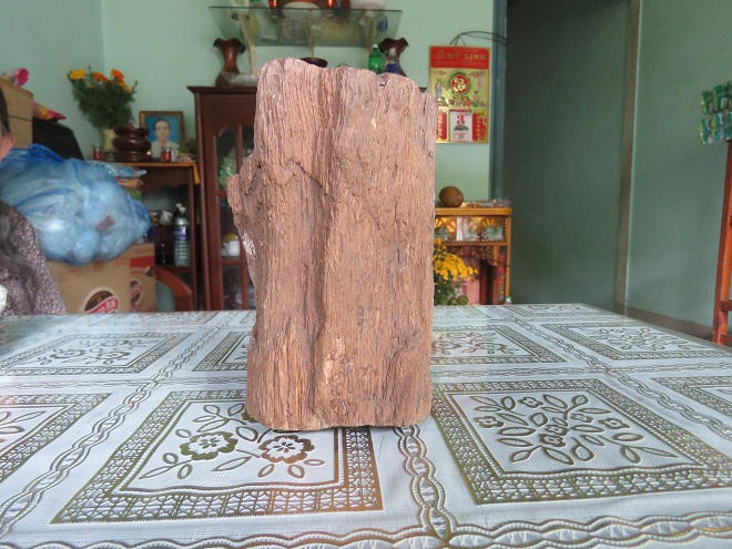 Vợ chồng nghèo có thể thành triệu phú nhờ đọc báo PLVN?