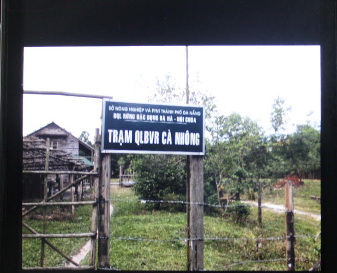 Vụ phá rừng đặc dụng lớn nhất Đà Nẵng: Phá án khó một, kết tội khó mười