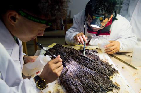 Hoa mắt với kho báu chấn động trong lăng mộ Xương Ấp Vương