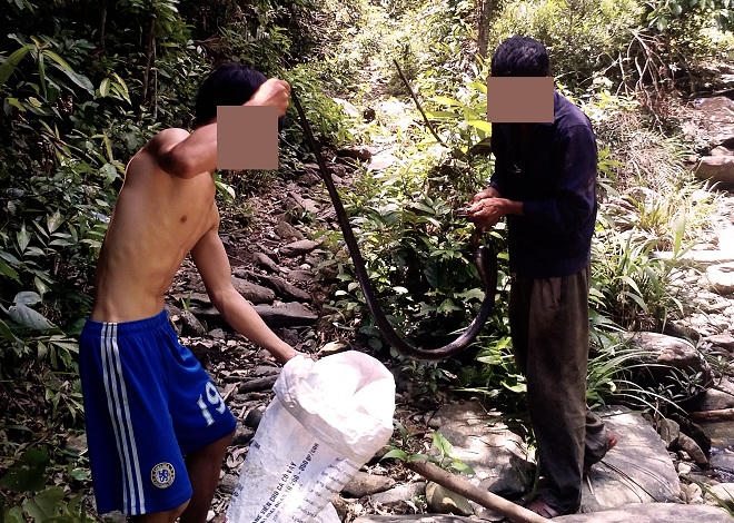 Rùng mình chuyện 'rừng báo oán' thợ săn