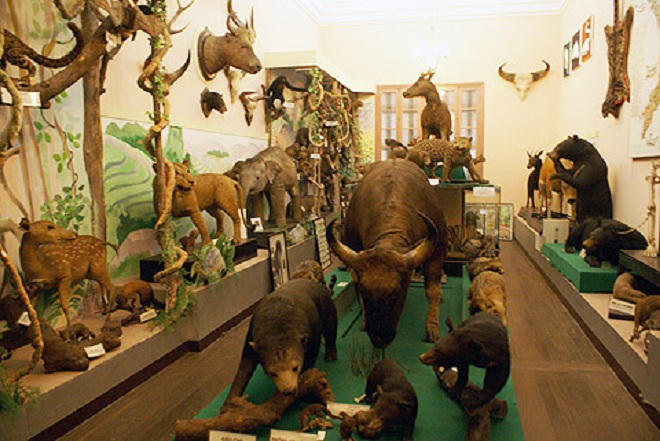 Điểm đến độc đáo cho cả gia đình trong dịp hè